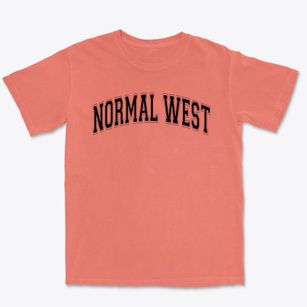 Normal Community West High School Varsity Arch Premium Heavyweight T-shirt