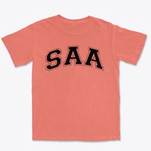 Sunnydale Adventist Academy Varsity Arch Premium Heavyweight T-shirt