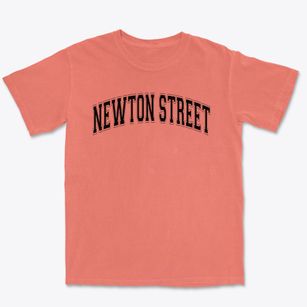 Newton Street Elementary School Varsity Arch Premium Heavyweight T-shirt