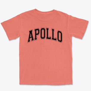 Apollo Middle School Varsity Arch Premium Heavyweight T-shirt