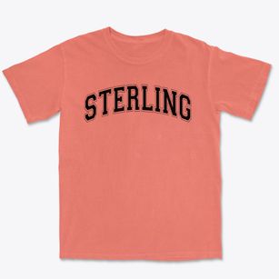 Sterling Elementary School Varsity Arch Premium Heavyweight T-shirt