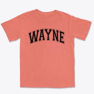 Wayne Elementary School Varsity Arch Premium Heavyweight T-shirt