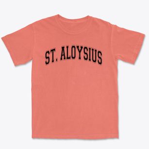 St. Aloysius School Varsity Arch Premium Heavyweight T-shirt