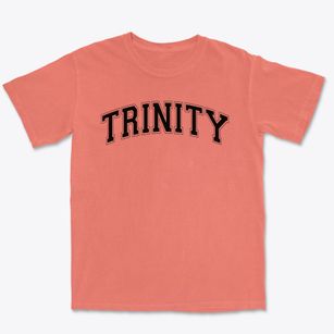 Trinity Lutheran School Varsity Arch Premium Heavyweight T-shirt
