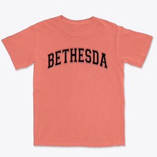 Bethesda Lutheran School Varsity Arch Premium Heavyweight T-shirt