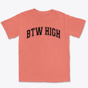 Booker T. Washington High School Varsity Arch Premium Heavyweight T-shirt