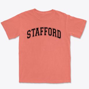 Stafford Elementary School Varsity Arch Premium Heavyweight T-shirt