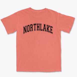 Northlake Elementary School Varsity Arch Premium Heavyweight T-shirt