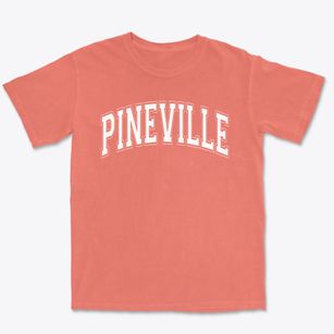 Pineville Elementary School Varsity Arch Premium Heavyweight T-shirt