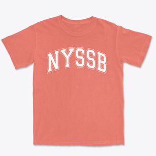 New York State School For The Blind Varsity Arch Premium Heavyweight T-shirt