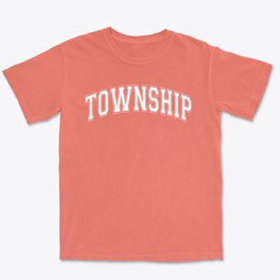 Williams Township Elementary School Varsity Arch Premium Heavyweight T-shirt