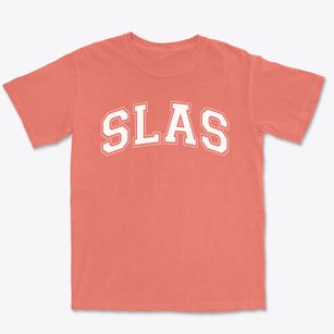 School Of Liberal Arts & Science Varsity Arch Premium Heavyweight T-shirt