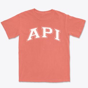Advanced Preparatory International Varsity Arch Premium Heavyweight T-shirt