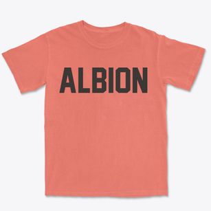 Albion Maine Classic Block Premium Heavyweight T-shirt