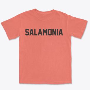 Salamonia Indiana Classic Block Premium Heavyweight T-shirt