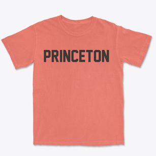 Princeton Indiana Classic Block Premium Heavyweight T-shirt