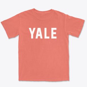 Yale Michigan Classic Block Premium Heavyweight T-shirt