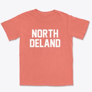 North Deland Florida Classic Block Premium Heavyweight T-shirt