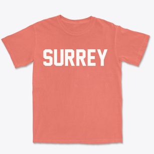 Surrey North Dakota Classic Block Premium Heavyweight T-shirt