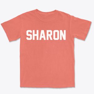 Sharon New Hampshire Classic Block Premium Heavyweight T-shirt