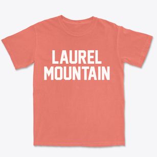 Laurel Mountain Pennsylvania Classic Block Premium Heavyweight T-shirt