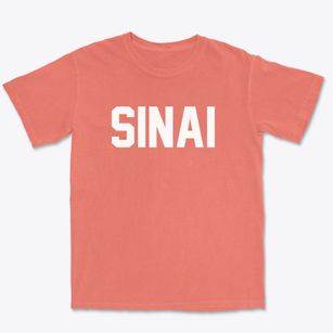 Sinai South Dakota Classic Block Premium Heavyweight T-shirt