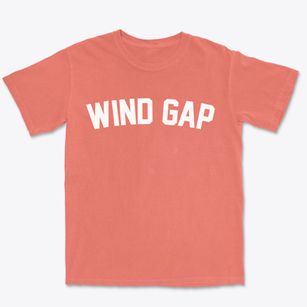 Wind Gap Pennsylvania Classic Curve Premium Heavyweight T-shirt