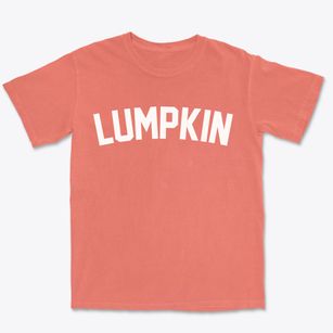 Lumpkin Georgia Classic Curve Premium Heavyweight T-shirt