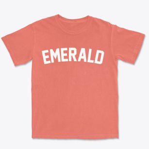 Emerald Wisconsin Classic Curve Premium Heavyweight T-shirt