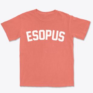 Esopus New York Classic Curve Premium Heavyweight T-shirt