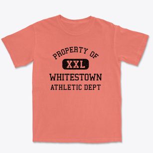 Whitestown Indiana Athletic Dept Premium Heavyweight T-shirt