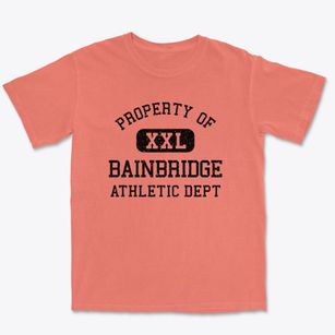 Bainbridge New York Athletic Dept Premium Heavyweight T-shirt