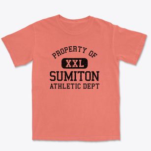 Sumiton Alabama Athletic Dept Premium Heavyweight T-shirt