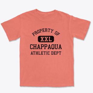 Chappaqua New York Athletic Dept Premium Heavyweight T-shirt