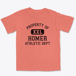 Homer Illinois Athletic Dept Premium Heavyweight T-shirt