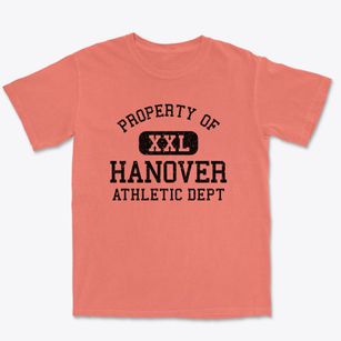 Hanover Illinois Athletic Dept Premium Heavyweight T-shirt