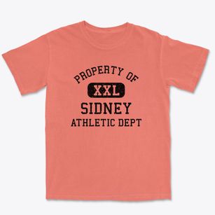 Sidney Ohio Athletic Dept Premium Heavyweight T-shirt