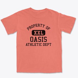 Oasis Wisconsin Athletic Dept Premium Heavyweight T-shirt