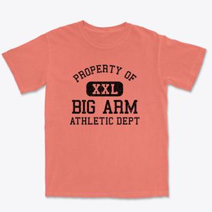 Big Arm Montana Athletic Dept Premium Heavyweight T-shirt