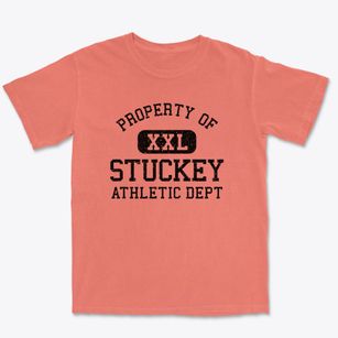 Stuckey South Carolina Athletic Dept Premium Heavyweight T-shirt