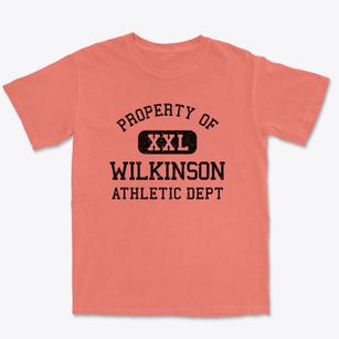 Wilkinson Wisconsin Athletic Dept Premium Heavyweight T-shirt