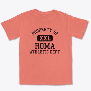 Roma Texas Athletic Dept Premium Heavyweight T-shirt