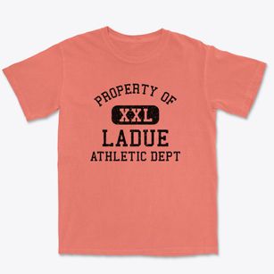 Ladue Missouri Athletic Dept Premium Heavyweight T-shirt