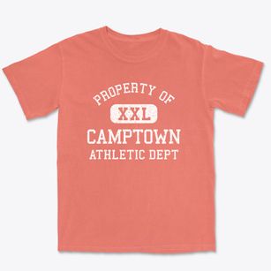 Camptown Virginia Athletic Dept Premium Heavyweight T-shirt
