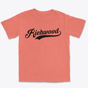Richwood New Jersey Vintage Team Premium Heavyweight T-shirt