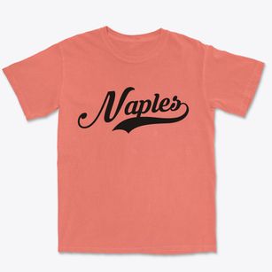 Naples New York Vintage Team Premium Heavyweight T-shirt