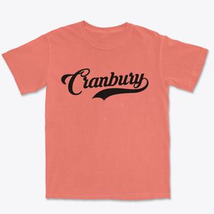 Cranbury New Jersey Vintage Team Premium Heavyweight T-shirt