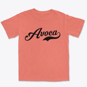 Avoca New York Vintage Team Premium Heavyweight T-shirt
