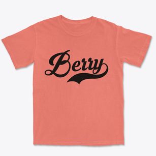 Berry Wisconsin Vintage Team Premium Heavyweight T-shirt