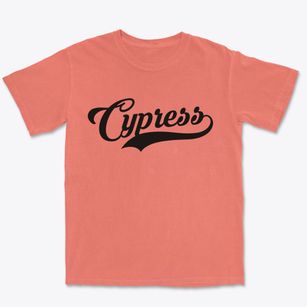 Cypress Illinois Vintage Team Premium Heavyweight T-shirt